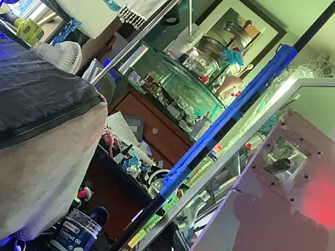 gurlnips live sex cam