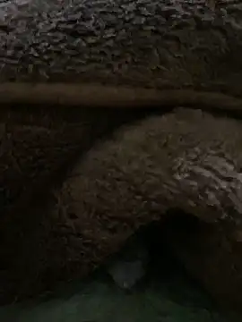 yassssst's cam snapshot