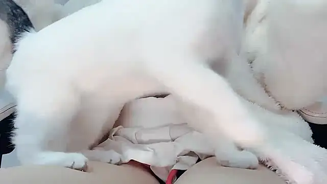 Eloise131499 live sex cam