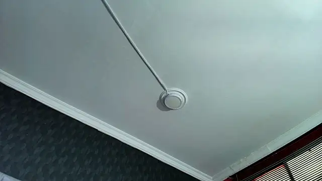 AlexLenox_ live sex cam