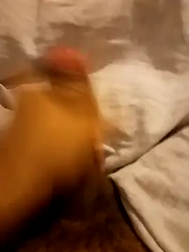 INDIAN_BOY19 live sex cam