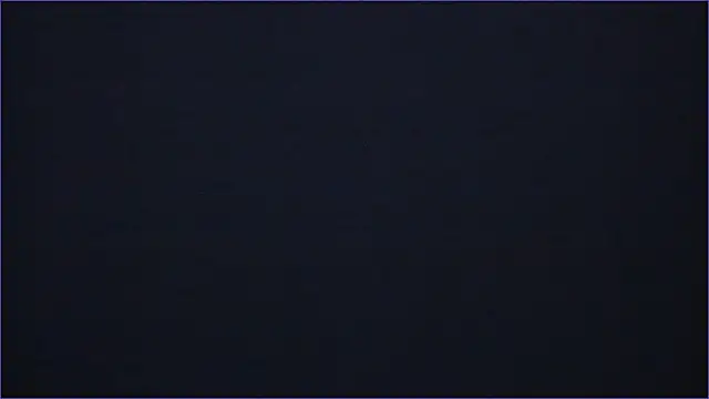 taeni_lara live sex cam