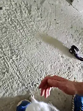 Mariusvidican live sex cam