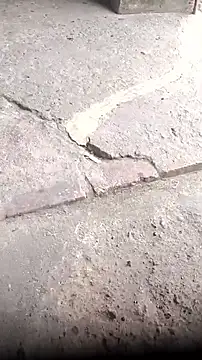 mendelicius live sex cam