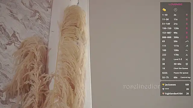 roselinedior's Stripchat show and profile