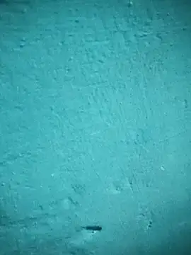 Chinki_pande's cam snapshot