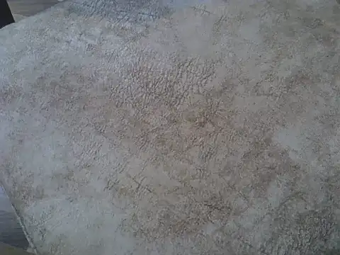 cem07060's cam snapshot