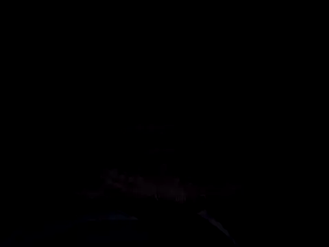 vitek1110's cam snapshot