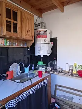 VelvetGrey live sex cam