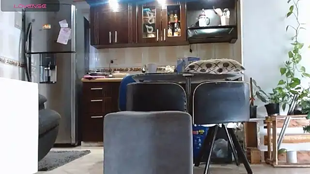 Diosasky's cam snapshot