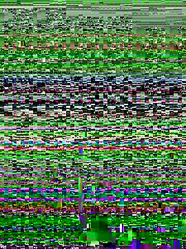 theprettysoles live sex cam