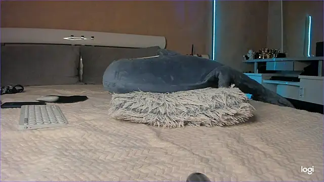 Diamond_D_ live sex cam