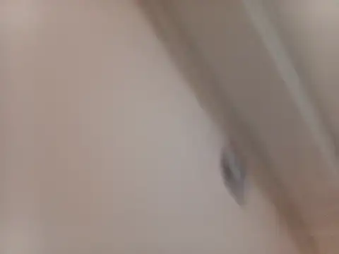 latarak321's cam snapshot