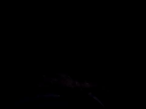 vitek1110's cam snapshot