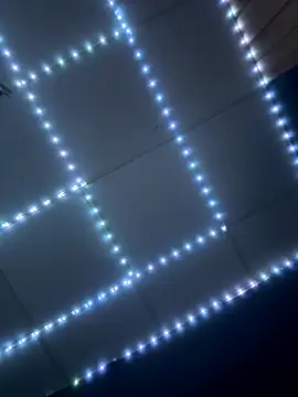 GenitalWars's cam snapshot