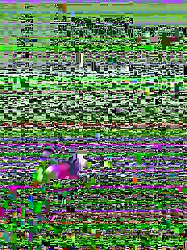 TheRealKnottiHead's cam snapshot