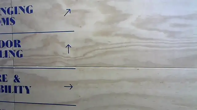 mason_fit's cam snapshot