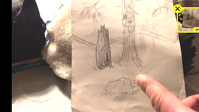 firefoxfeel live sex cam