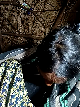 Cutsedi3's cam snapshot