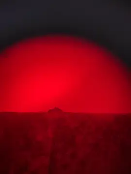 bhadglitz's cam snapshot