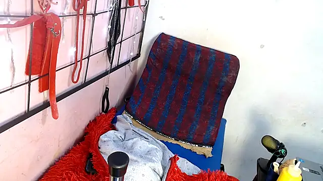 codorniz2025's cam snapshot