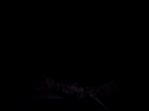 vitek1110 live sex cam