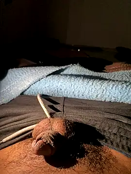 Lahcene live sex cam