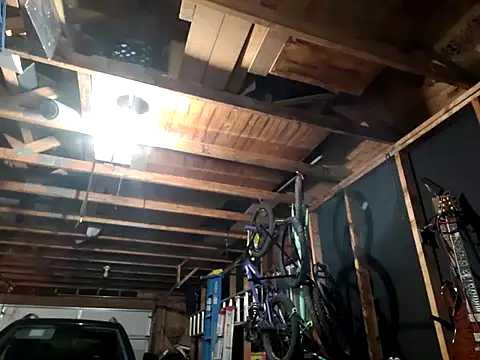 thejuicybacon live sex cam