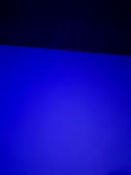 Pavelbure77 live sex cam