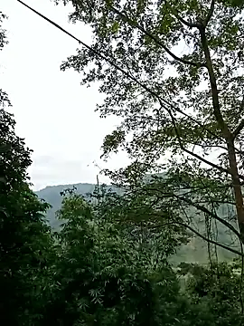 Dung-Thao19 live sex cam