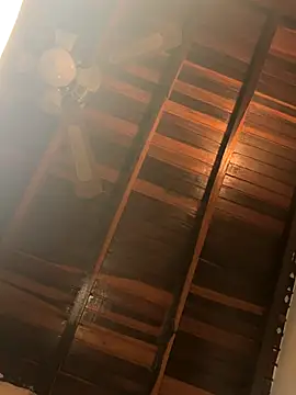 MalekThick live sex cam