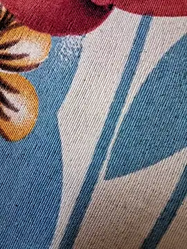 sivani_asha live sex cam