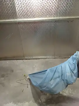 SSexykute3456 live sex cam