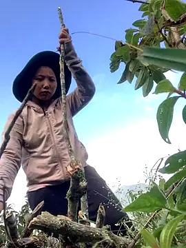 bi-bo123 live sex cam