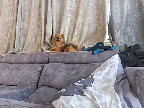 Alexis21821 live sex cam