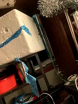 gurlnips live sex cam