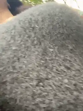 yourkeer live sex cam