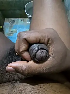 wildfun_ live sex cam