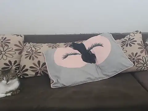 COBRAboySEX@xh live sex cam