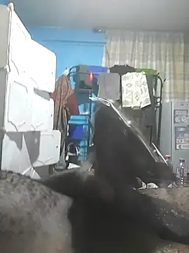 Dick_undisputed live sex cam