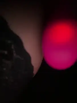 eveangelll live sex cam