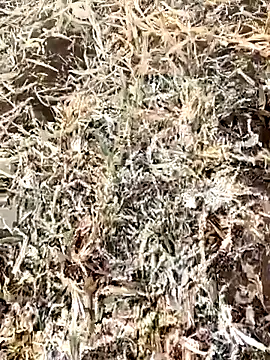 murokkk31 live sex cam