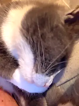 DeeBestEver live sex cam