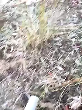 murokkk31 live sex cam