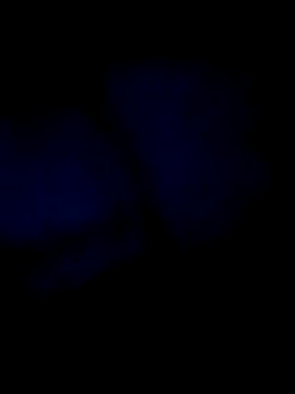 Georgiehoodsman live sex cam