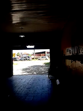 hecwil8 live sex cam