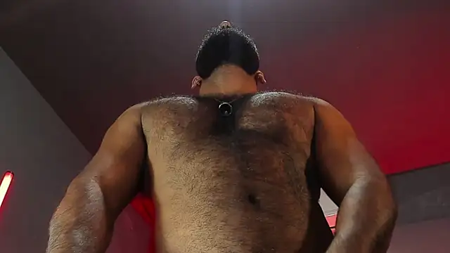 BeardAndrew live sex cam