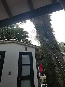 Rumy_2005 live sex cam