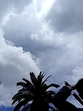 Novin4i20 live sex cam