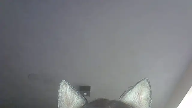 SkinnyKitten live sex cam